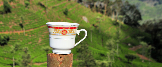 Dooars vs. Darjeeling Tea: Discover the Differences – GOODRICKE TEA