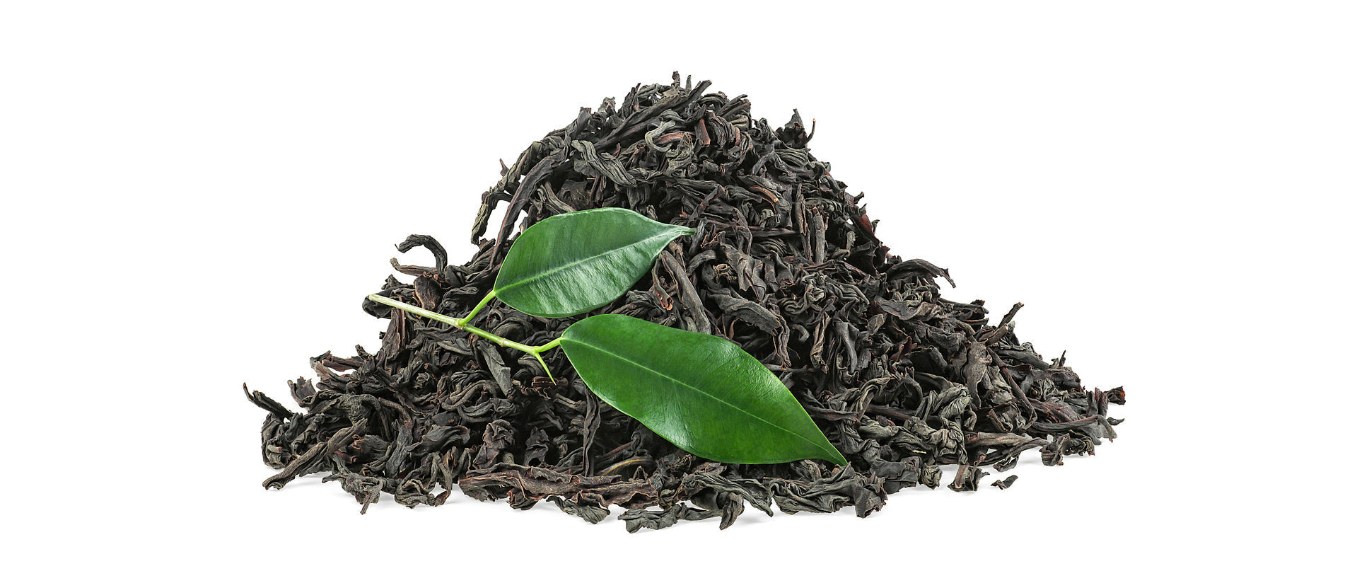 Discover the Elegance of Goodricke's Pekoe Tea