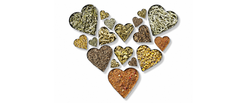 Sip Your Way to Better Heart with Goodricke Wellness Health Teas
