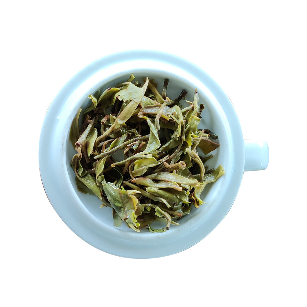 Badamtam Exquisite Spring White Tea 2024 - 25gm