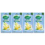 Symphony Chamomile Green Tea, 25 Tea Bags (Pack of 4)