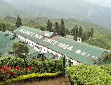 Margaret's Hope Garden since 1864 - Goodricke Tea