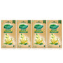 Symphony Ginger & Tulsi Green Tea, 25 Tea Bags (Pack of 4)