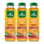 Mango & Peach(350 ml) (Pack of 3)- Organic Darjeeling Iced Green Tea