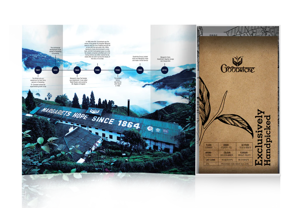 Margaret’s Hope - 100 gms +  Castleton Vintage Darjeeling Tea - 250 gms (COMBO OFFER)