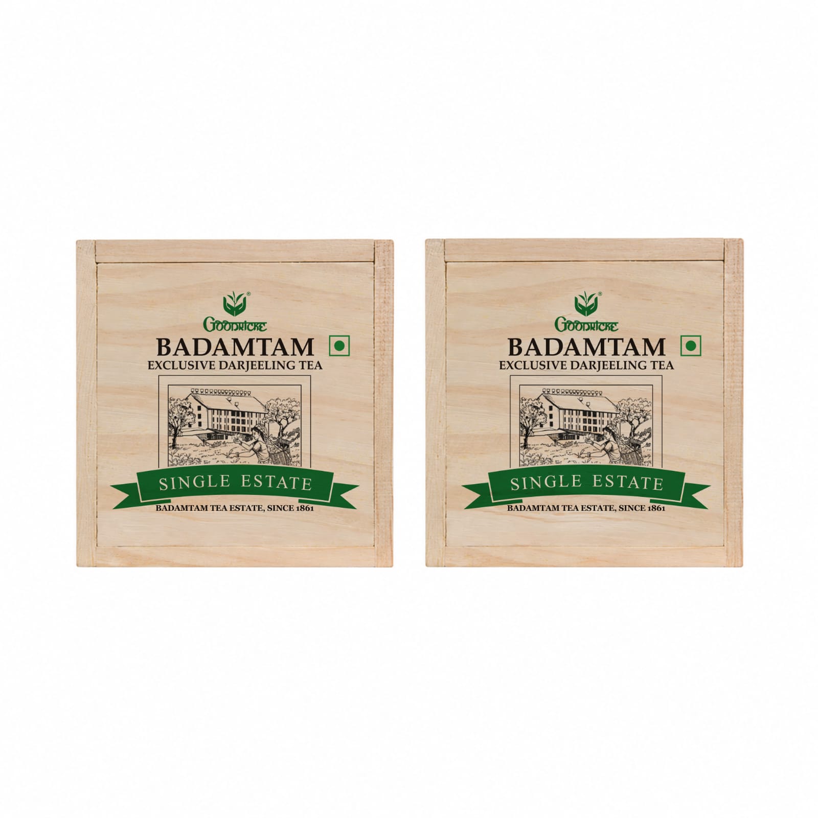 Goodricke Badamtam Single Estate Organic Darjeeling Tea - 100gm (Pack of 2)