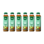 Goodricke Darjeeling Iced Tea – Classic Mojito (Brewed with Organic Black Tea) - Pack of 6